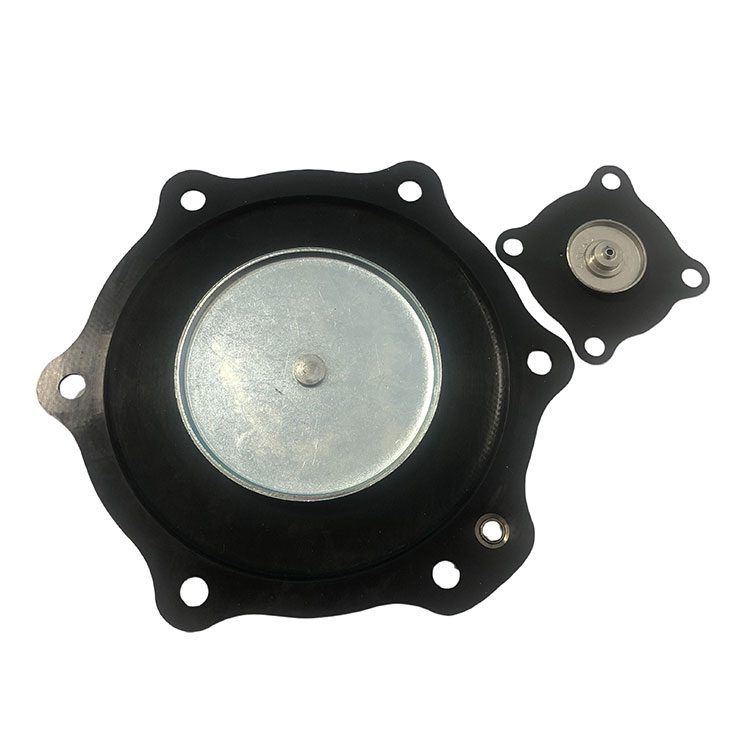 2 -Zoll -Membran -Reparatur -Kit