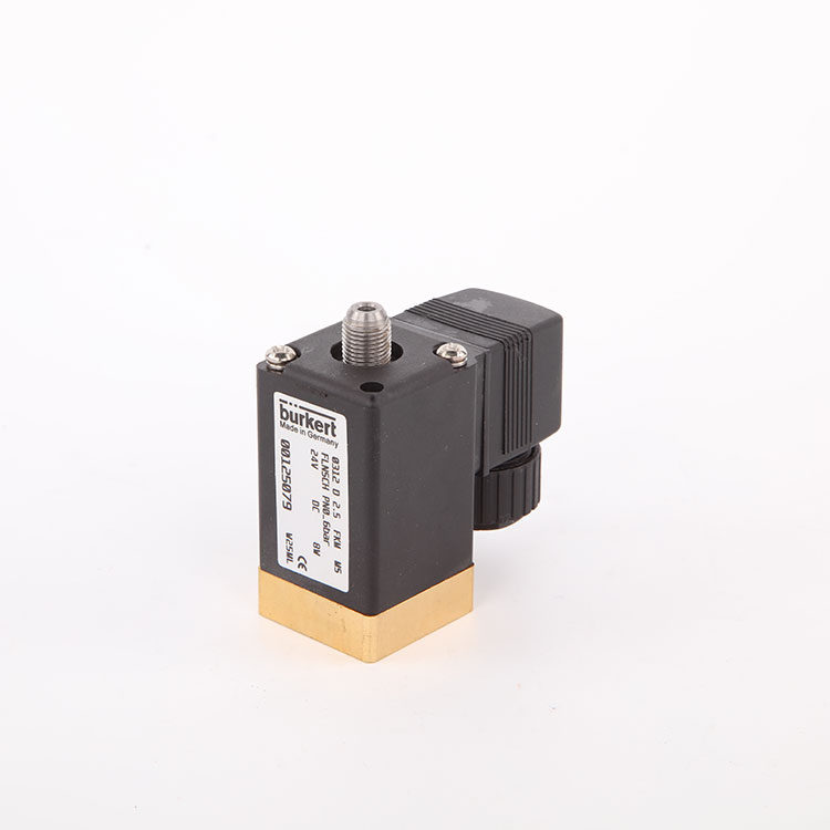 Pulsstrahlmagnetventilspule